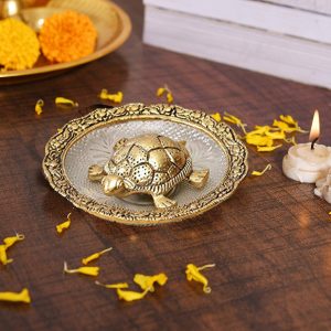 tortoise-for-good-luck